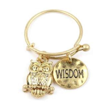 [12pcs set] Owl & wisdom pendant ring - worn gold