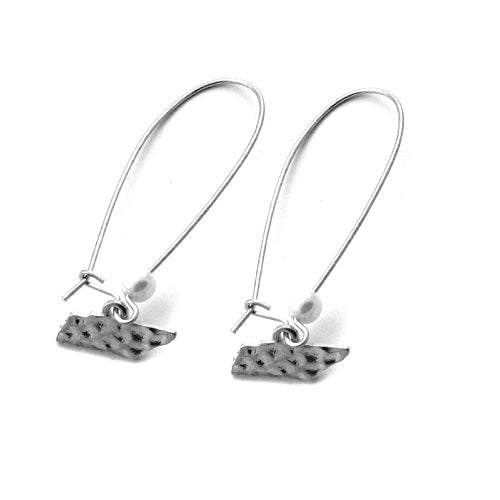 Tennessee State earring - silver